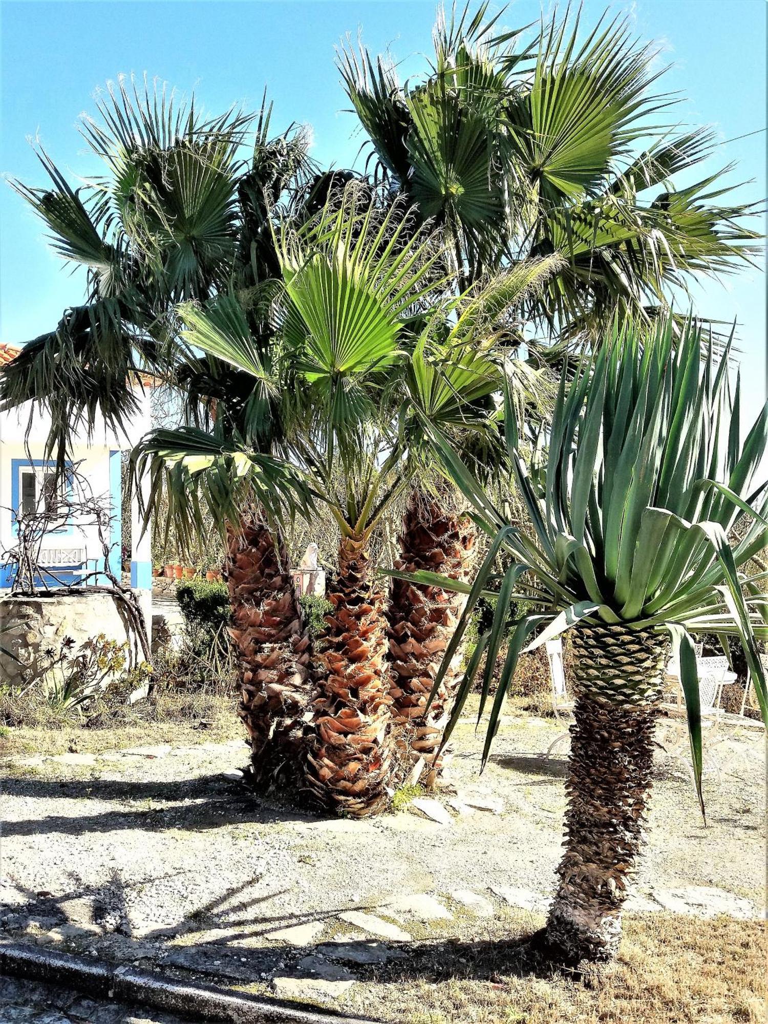 Água Rocha Villa Serra de Mangues Rum bild